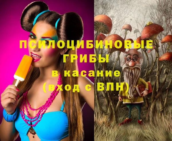 гидропоника Армянск